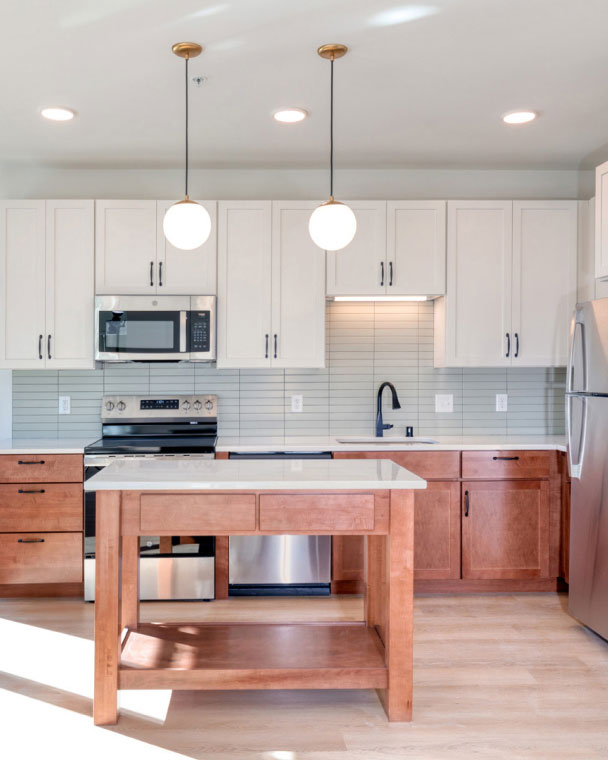 apartment-kitchen-portrait
